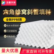 六角蜂窩填料在水處理中的最佳使用角度是什么